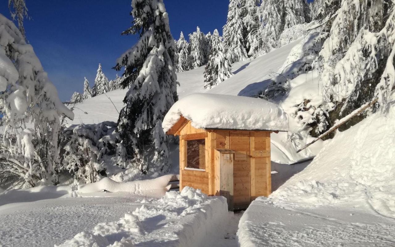 Chalet Panorama Himmelreichhof سان كانديدو المظهر الخارجي الصورة